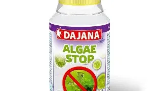 Alge Stop 100 ml Dp530A1