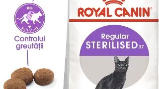 ROYAL CANIN Sterilised Adult, hrana uscata pisici sterilizate, 10kg