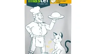 MASTER, Pui, plic hrana umeda pisici, (in sos), 80g