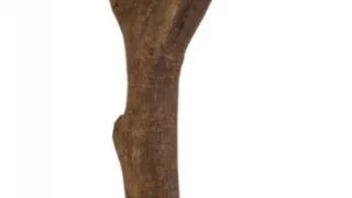 Bat Pentru Colivie, Forma Y 20 cm