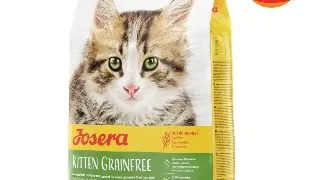 JOSERA Kitten Grainfree, Somon, hrana uscata fara cereale pisici junior, 10kg
