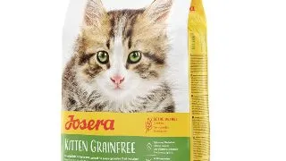 JOSERA Kitten Grainfree, Somon, hrana uscata fara cereale pisici junior, 2kg