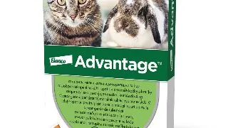 Advantage Pisica/Iepure 40, < 4 kg, 4 pipete