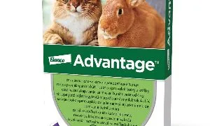 Advantage Pisica/Iepure 80, > 4 kg, 4 pipete