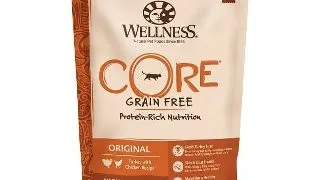Wellness Core Dry cu Curcan si Pui, 300 g