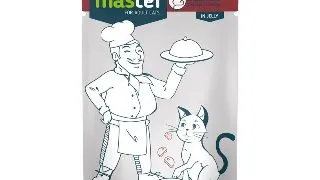 MASTER, Carne, plic hrana umeda pisici, (in aspic), 80g