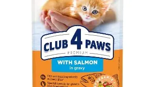 CLUB 4 PAWS Premium , Somon, plic hrana umeda pisici junior, (in sos), 80g