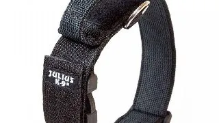 Zgarda Julius K9, cu maner, nylon - 50mm - Gri