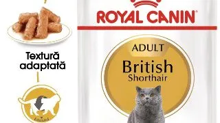 ROYAL CANIN British Shorthair Adult, hrana umeda pisici, (in sos), bax, 85g x 12buc