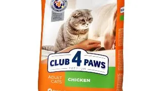 CLUB 4 PAWS Premium, Pui, hrana uscata pisici, 14kg