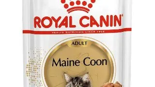 ROYAL CANIN Maine Coon Adult, hrana umeda pisici, (in sos), 85g