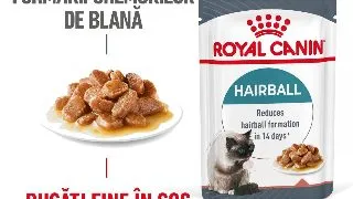 ROYAL CANIN Hairball Care Adult, hrana umeda pisici, limitarea ghemurilor de blana, (in sos), 85g