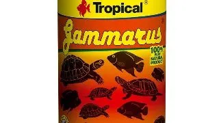 Tropical gammarus 100ml/12g