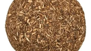Trixie, jucarie minge, pisici, catnip, cu clopotel, multicolor, 4cm