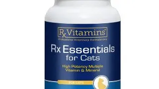 RX VITAMINS Essentials Feline, multivitamine pisici, pudra RX VITAMINS Essentials Feline, multivitamine pisici, flacon, 113.4g pudra