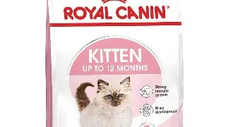 ROYAL CANIN Kitten, hrana uscata pisici junior, 10kg