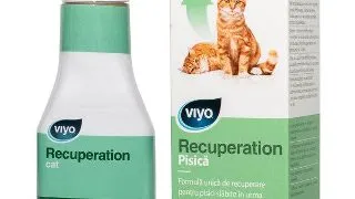 Viyo Recuperation Cat x 1 fl