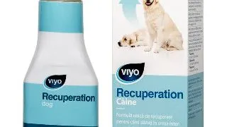 Viyo Recuperation Dog x 1 fl
