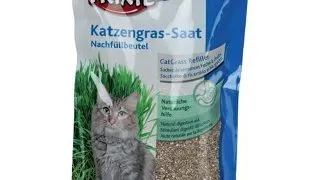 Rezerva de Iarba pentru Pisici, 100 g