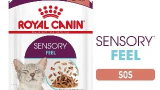 ROYAL CANIN Sensory Feel hrana umeda pisici stimularea simtului tactil (in sos), 85g
