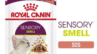 ROYAL CANIN Sensory Smell hrana umeda pisici stimularea mirosului (in sos), 85g