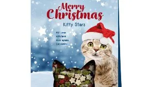TRIXIE Christmas Kitty Stars, Somon si Miel, galetusa recompense pisici, 140g