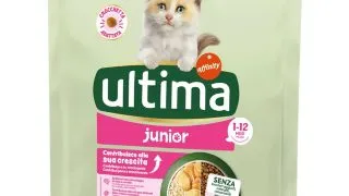 ULTIMA Junior, Pui, hrana uscata pisici junior, 440g