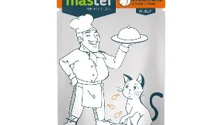 MASTER, Pasare, plic hrana umeda pisici, (in aspic), 80g