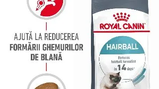 ROYAL CANIN Hairball Care Adult, hrana uscata pisici, limitarea ghemurilor de blana, 400g