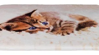 Pernuta Trixie Tilly, Bej, 50x40 cm