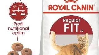 ROYAL CANIN Fit32 Adult, hrana uscata pisici, activitate fizica moderata, 400g