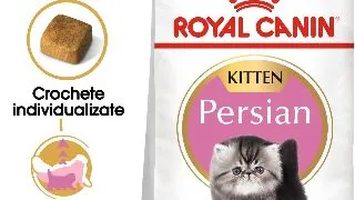ROYAL CANIN Persian Kitten, hrana uscata pisici junior, 2kg