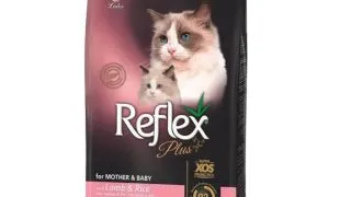REFLEX Plus Mother & Baby, Miel, hrana uscata pisici junior, 15kg