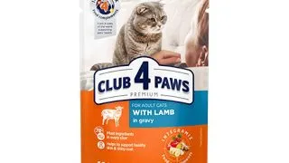 CLUB 4 PAWS Premium, Miel, hrana umeda pisici, (in sos) CLUB 4 PAWS Premium, Miel, plic hrana umeda pisici, (in sos), bax, 100g x 24buc