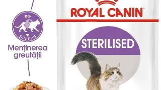 ROYAL CANIN Sterilised Adult hrana umeda pisici sterilizate (in aspic), bax, 85g x 12buc