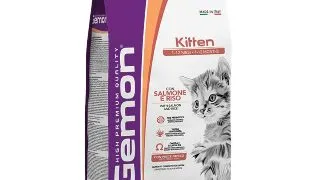 GEMON Kitten, Somon si Orez, hrana uscata pisici junior, 2kg