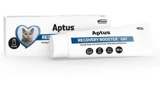 APTUS Recovery Booster, supliment convalescenta pisici, pasta orala APTUS Recovery Booster, supliment convalescenta pisici, tub, 60g pasta orala