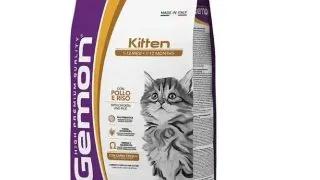 GEMON Breeders Kitten, Pui si Orez, hrana uscata pisici junior, 20kg