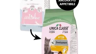 UNICA Classe Kitten Development, Pui, hrana uscata pisici junior, 10kg