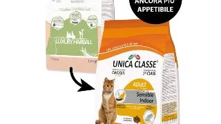 UNICA Classe Sensible Indoor, Pui, hrana uscata pisici, 10kg