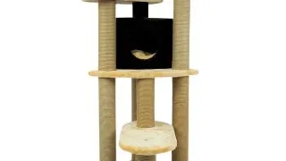 SHAW Roma, ansamblu de joaca pisici, 4 etaje, 1 casuta, MDF si plus, elemente de zgariat, bej, 60x60x134cm
