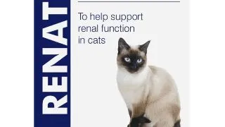 VETPLUS Renate, supliment sistem renal pisici, pudra VETPLUS Renate, supliment sistem renal pisici, plic, 2g x 30buc pudra