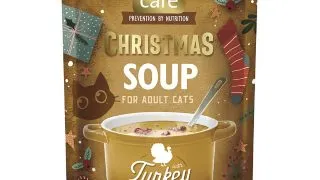 BRIT Christmas Soup, Curcan, plic hrana umeda fara cereale pisici, (topping), 75g