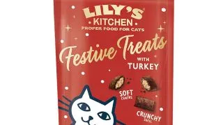 LILY'S KITCHEN Christmas Festive Pillow Treats, Curcan, punguta recompense fara cereale pisici, 60g