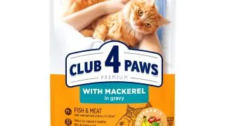 CLUB 4 PAWS, Macrou, plic hrana umeda pisici, (in sos), 85g