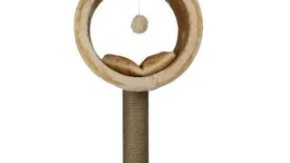 SHAW Bordo, ansamblu de joaca pisici, 1 etaj, MDF si plus, elemente de zgariat, elemente atarnate, bej, 42x42x90cm
