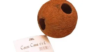 Decor acvariu JBL Cocos Cava 1/1 L
