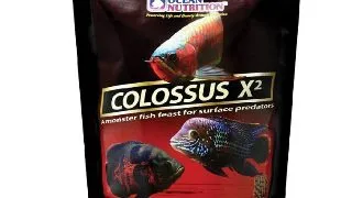OCEAN NUTRITION Colossus X2, 200g