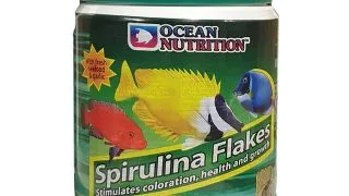 OCEAN NUTRITION Spirulina Flakes, 34g