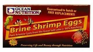OCEAN NUTRITION Gsl Brine Shrimp Eggs, 20g
